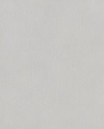 Blank light gray textured surface