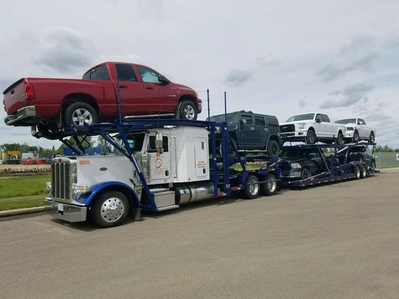 Car carrier truck loaded with red and white pickup trucks on a paved lot