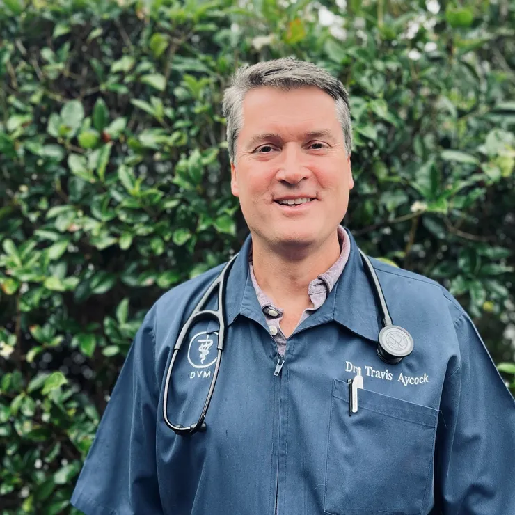 A man in a blue jacket with a stethoscope around his neck.