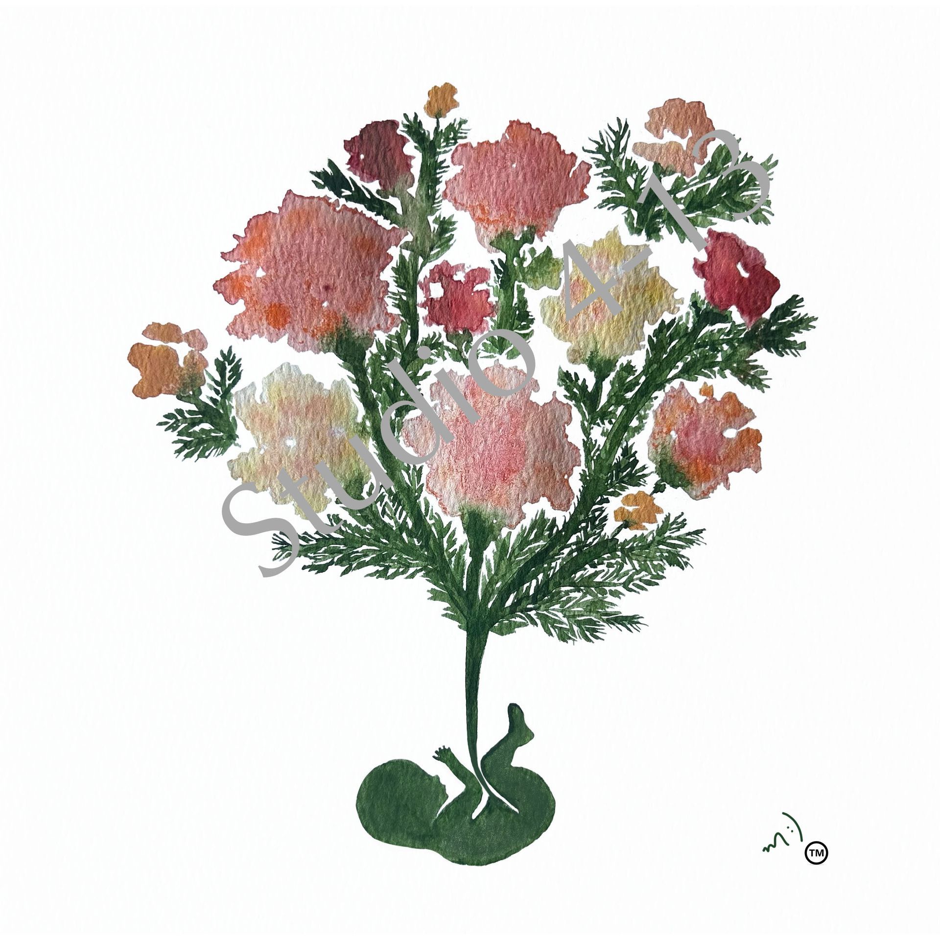 Carnations