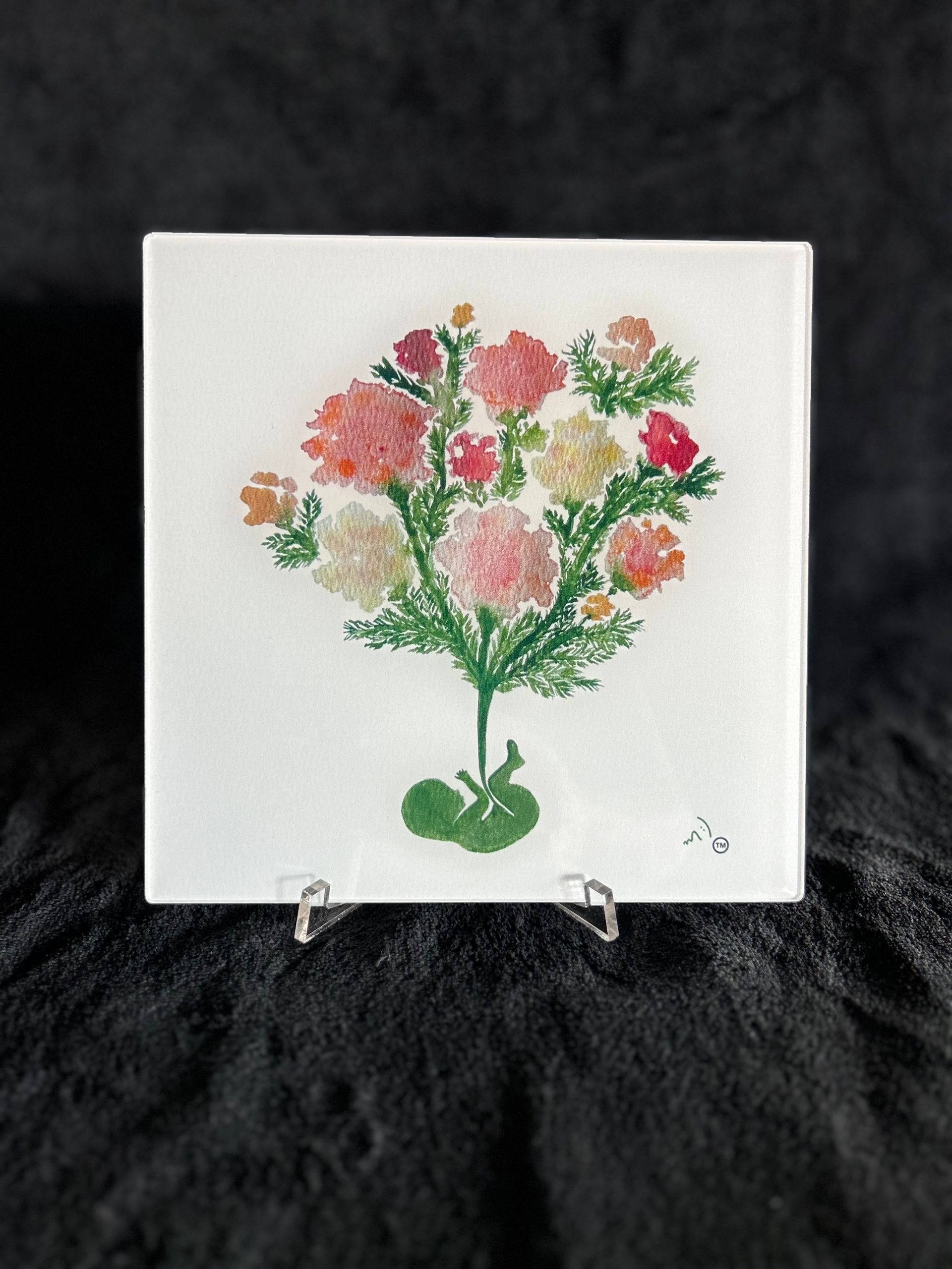Carnations