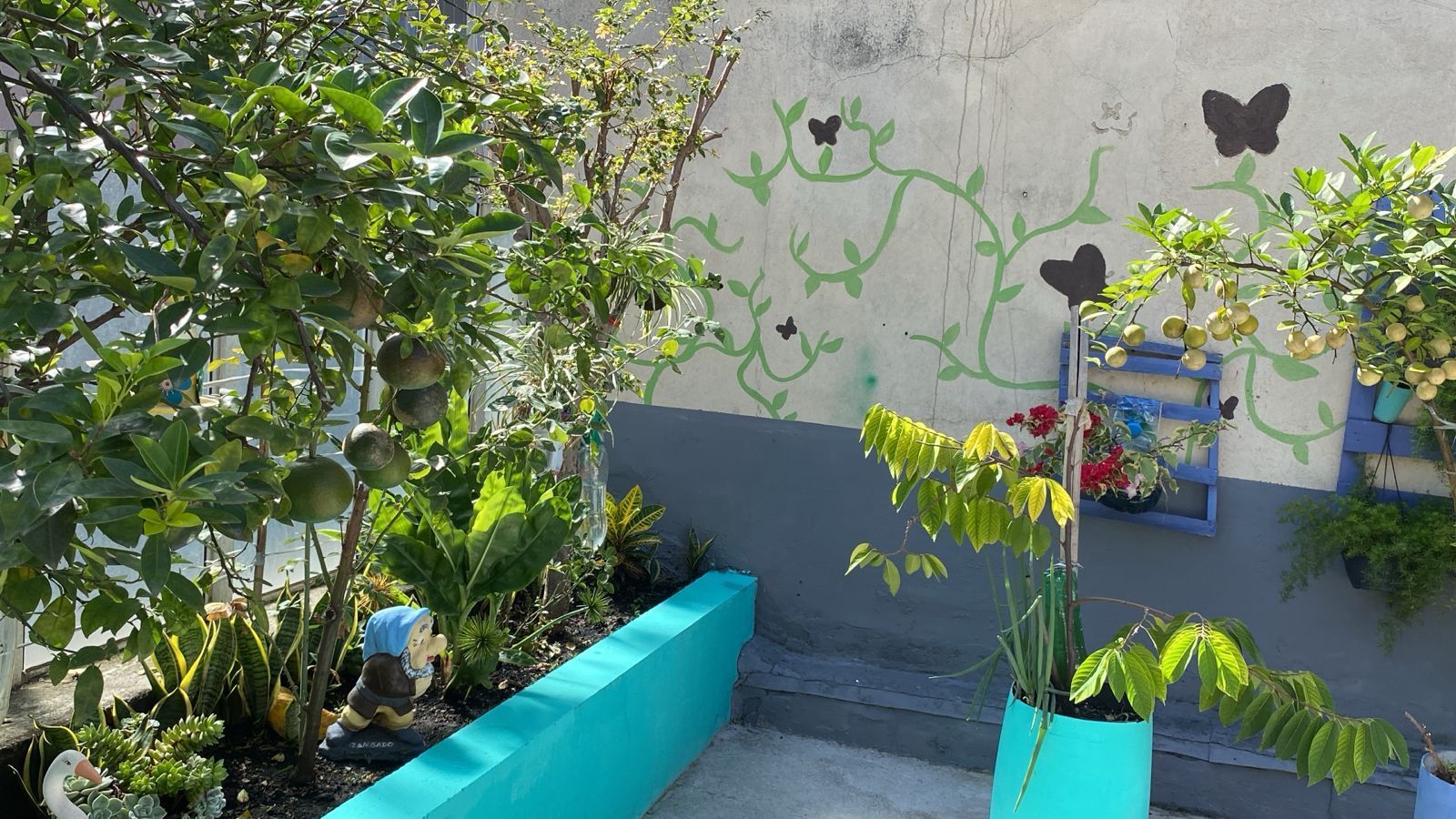 Pequena escadaria externa com paredes turquesa, plantas frondosas e uma obra de arte com borboletas junto a uma parede pintada de branco.