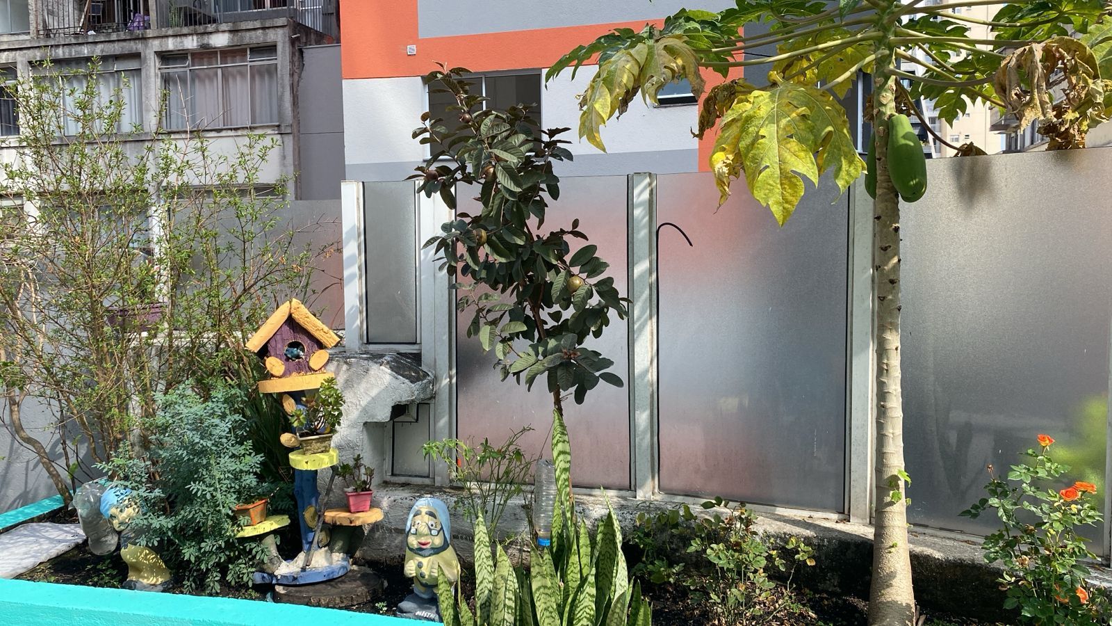 Pequeno jardim com plantas em vasos, uma casinha de pássaros e árvores jovens ao lado de uma cerca coberta de geada e da parede de um prédio.
