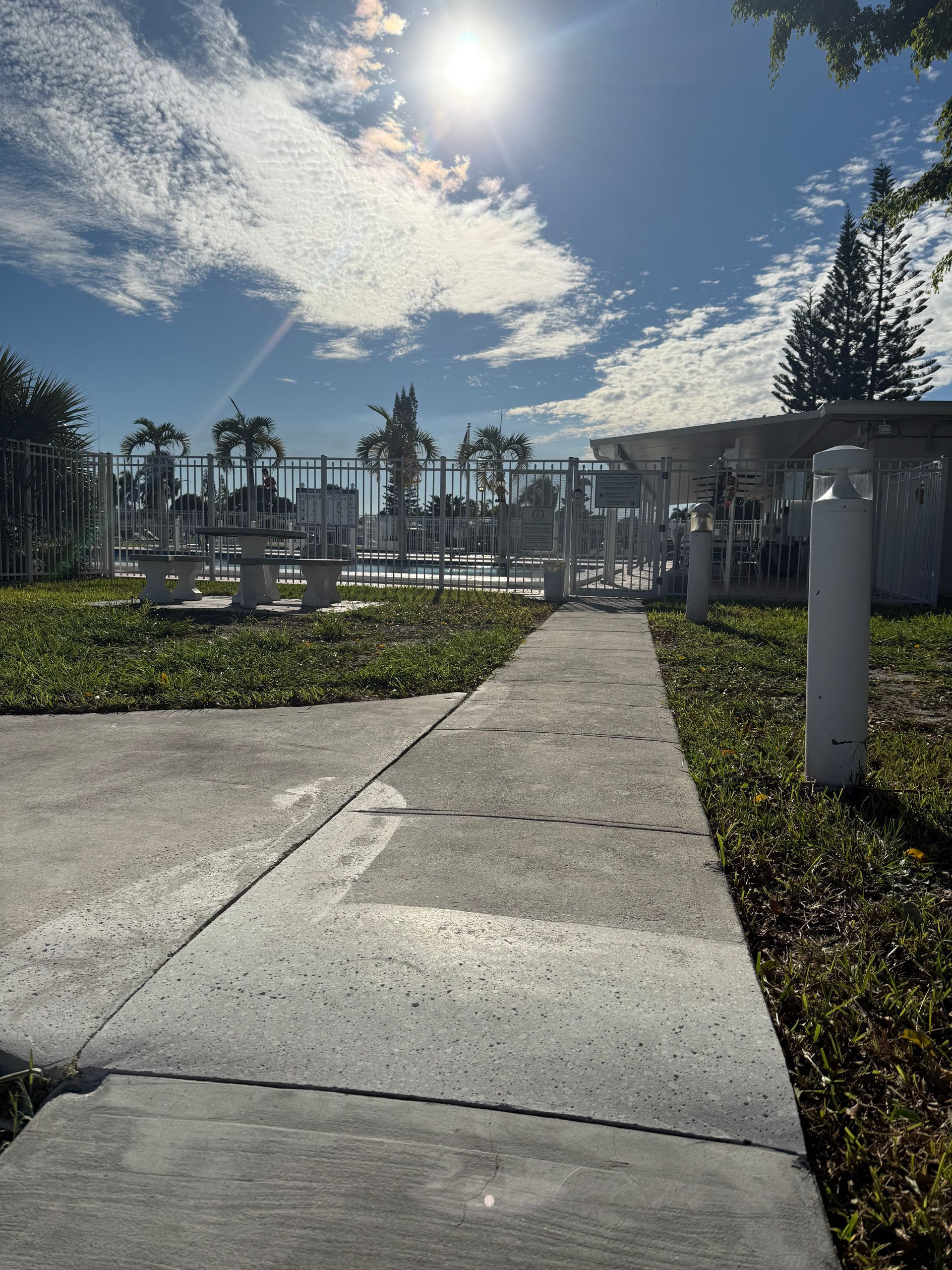 Sunny pathway through a white-columned garden or patio with palm trees and bright sky.