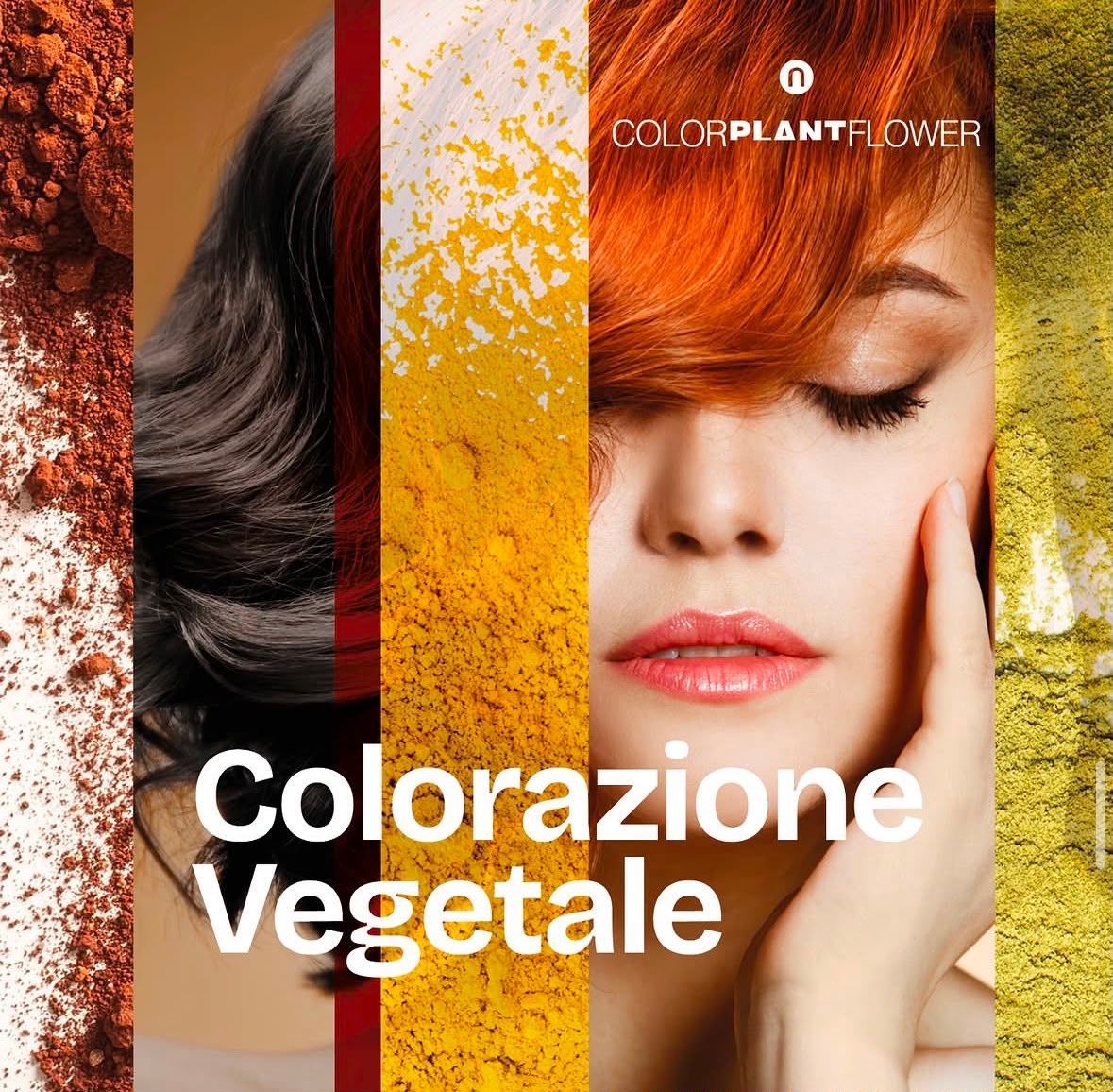 Grafica promozionale per una colorazione per capelli a base vegetale, che mostra i capelli prima e dopo con tonalità arancioni e la scritta “Colorazione Vegetale”