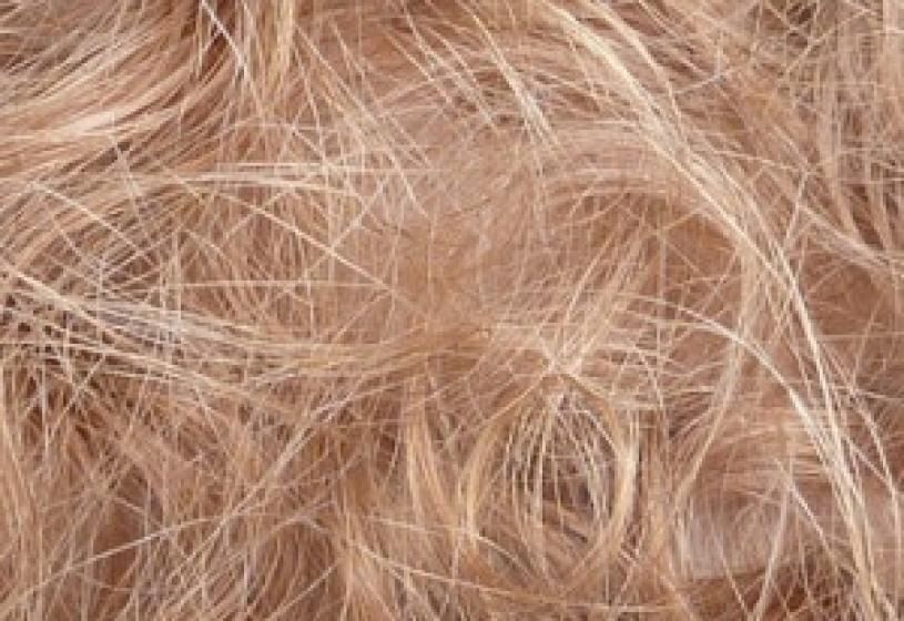 Ciocche di capelli biondi: quanti capelli cadono al giorno e quando iniziare a preoccuparsi