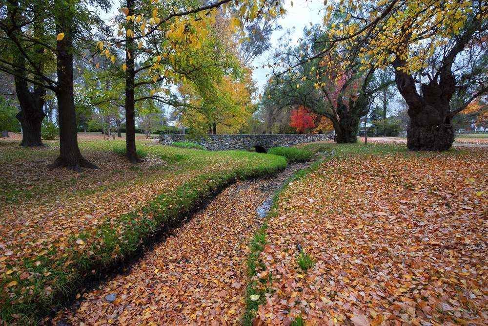 A Stream in a Park Surrounded by Trees and Leaves — 4Shaw Kitchens in Mudgee, NSW