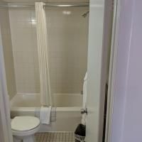 A bathroom with a toilet , bathtub and shower.