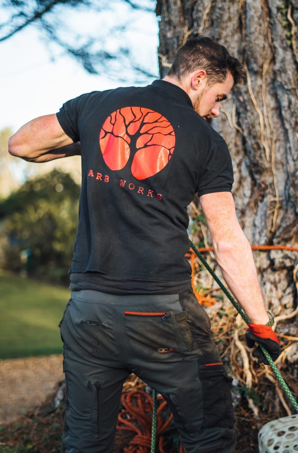 A man is climbing a tree with a chainsaw.