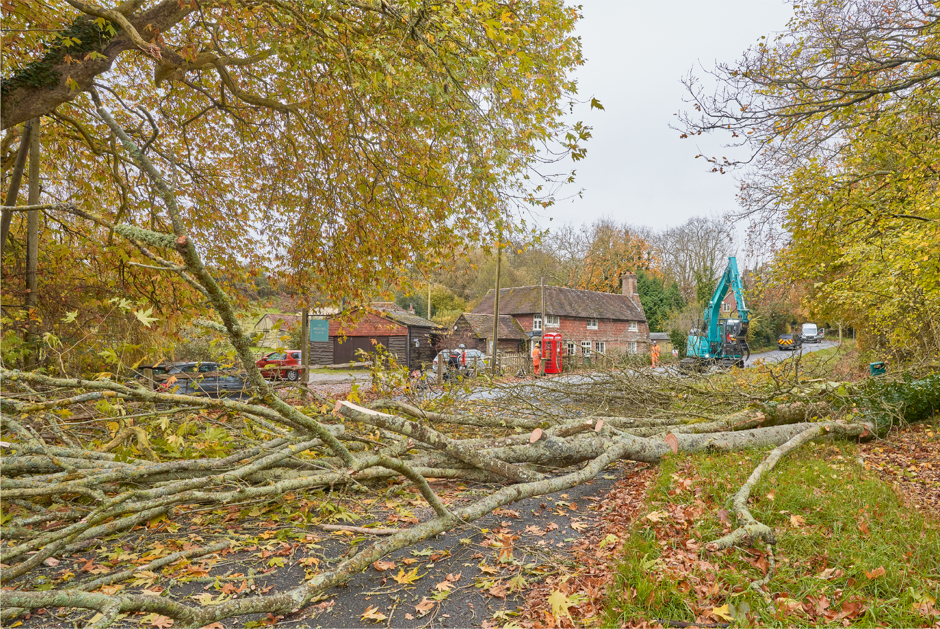 A pile of fallen trees in a park with a house in the background.