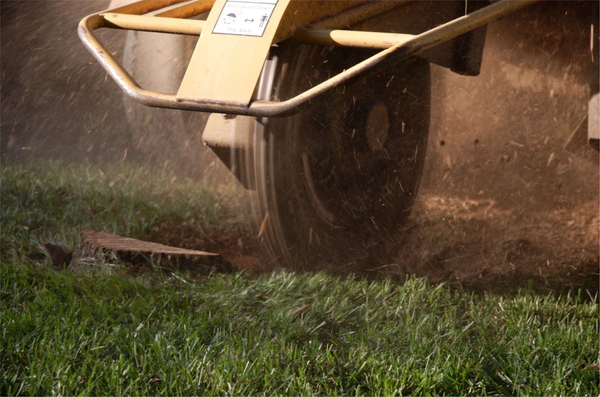 A tractor is cutting a tree stump in a lush green field.