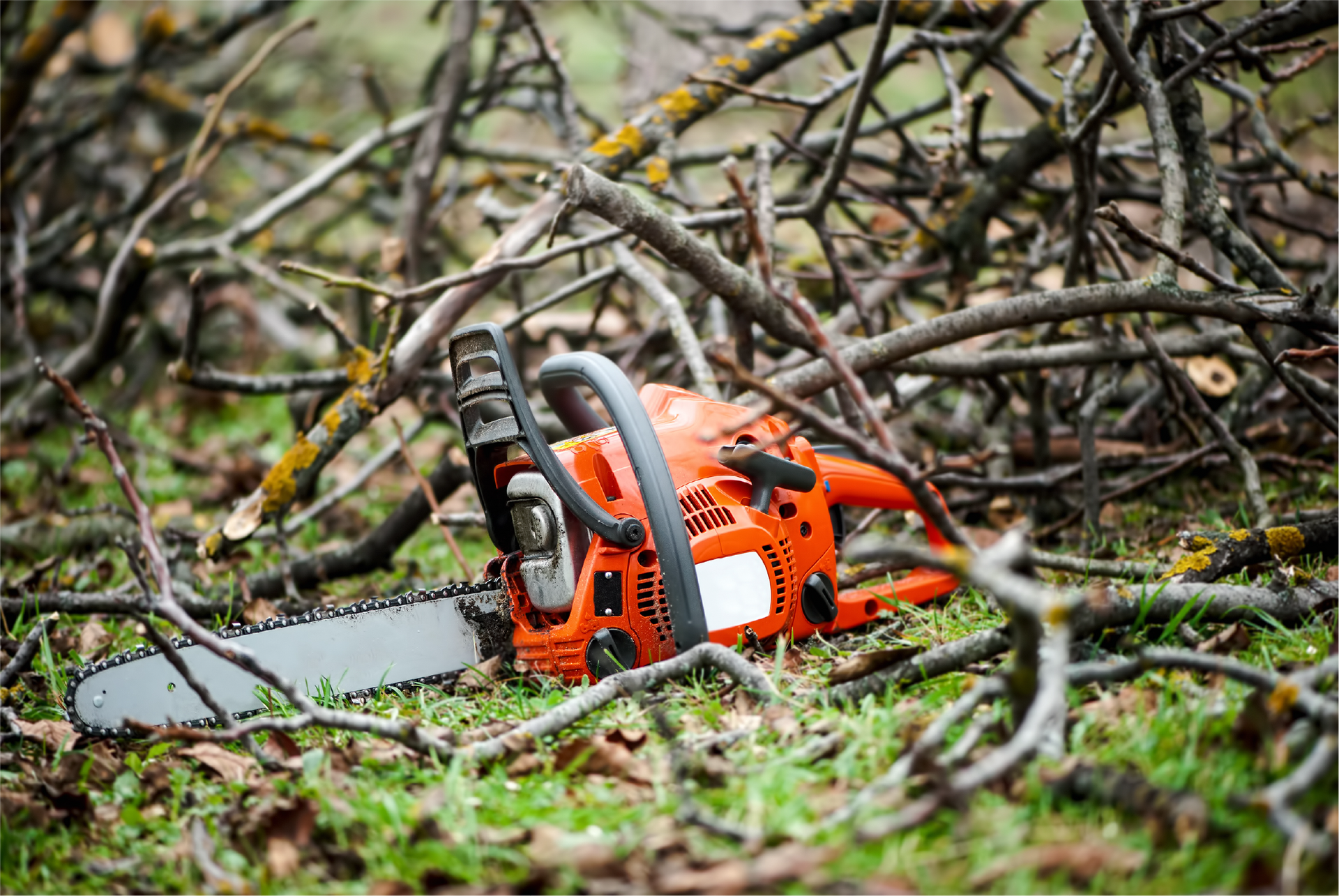 A chainsaw is sitting in the grass surrounded by branches.