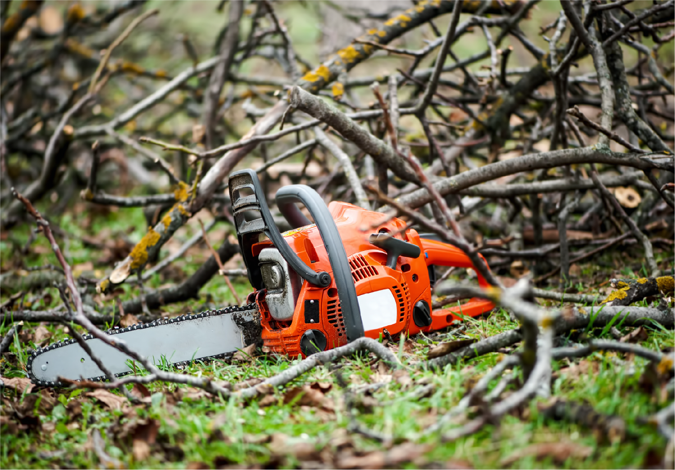A chainsaw is laying on the ground surrounded by branches.