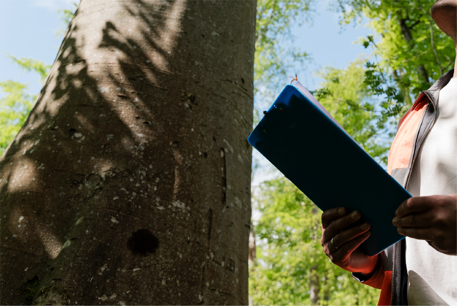A person is holding a blue folder in front of a tree.