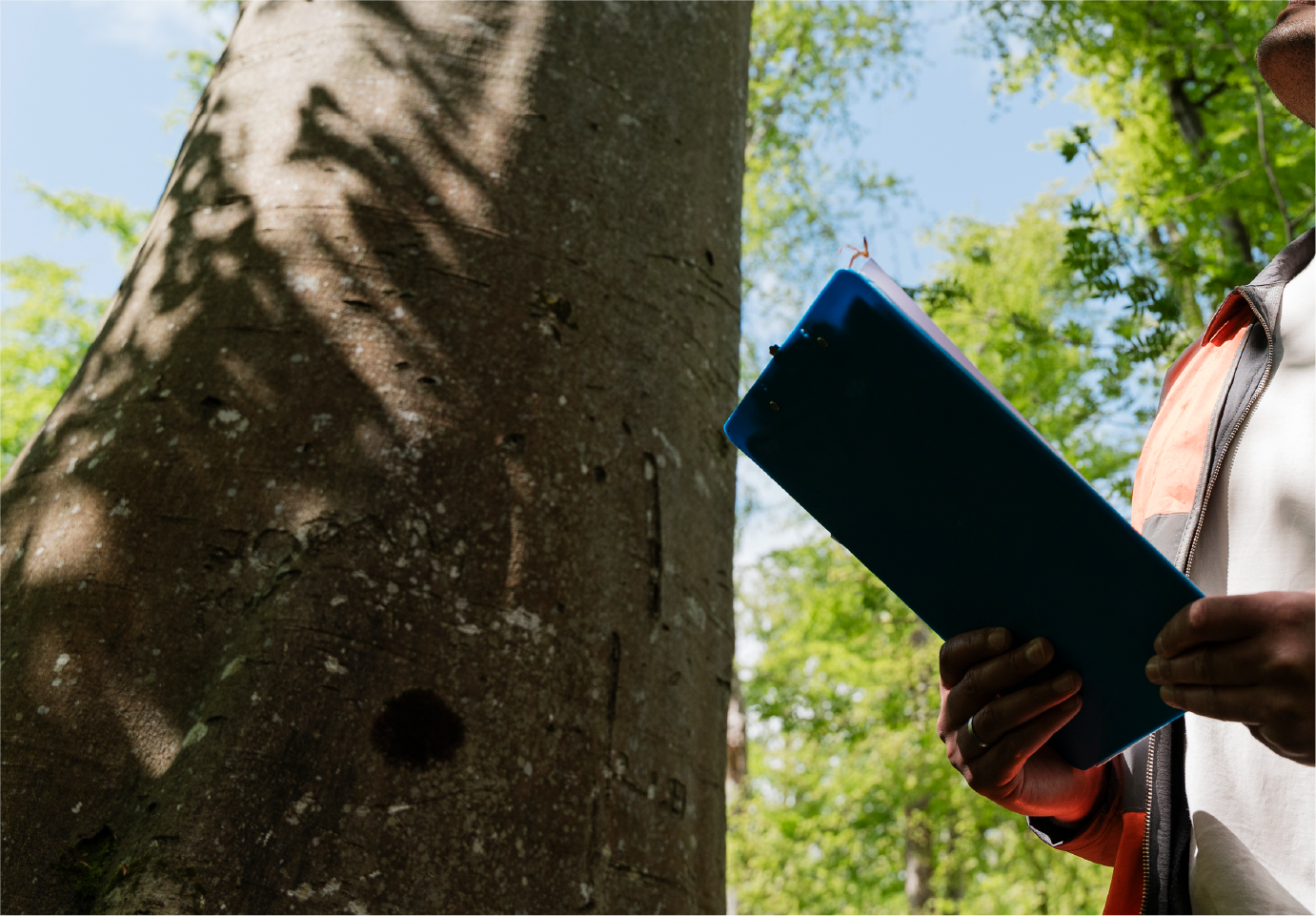 A man is standing next to a tree holding a clipboard.