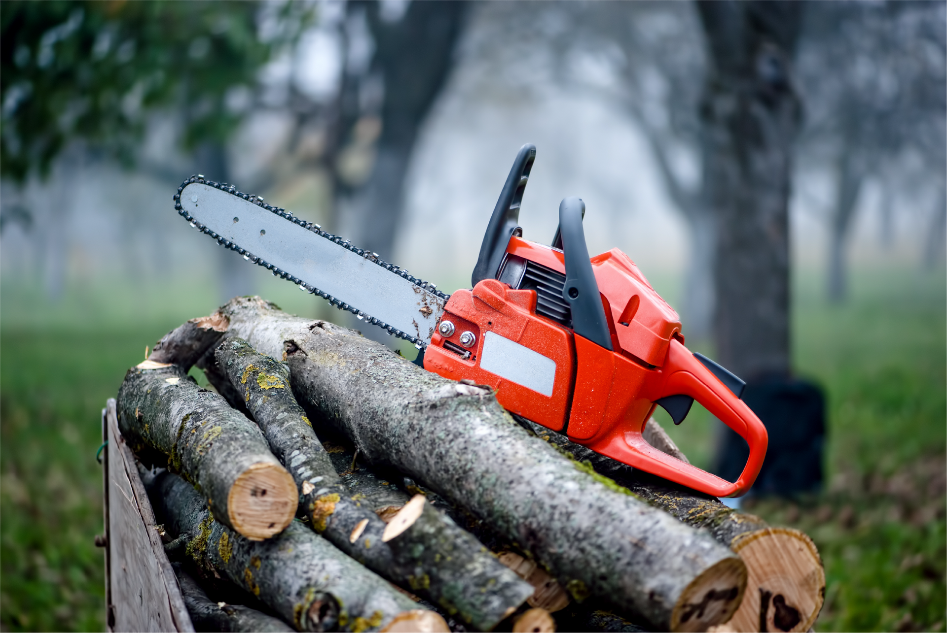 A chainsaw is sitting on top of a pile of logs.
