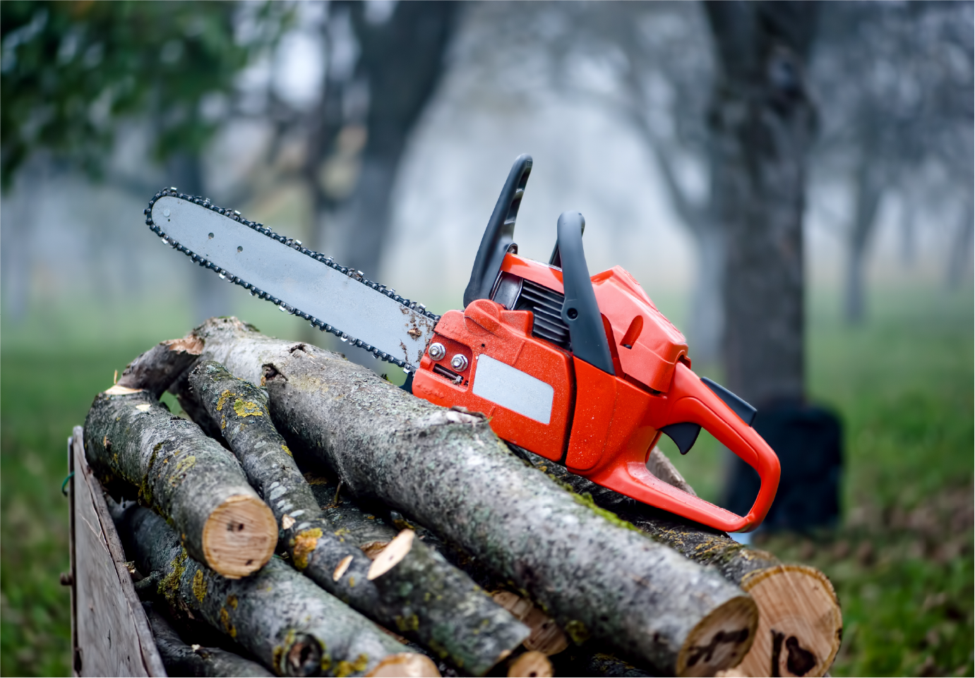 A chainsaw is sitting on top of a pile of logs.