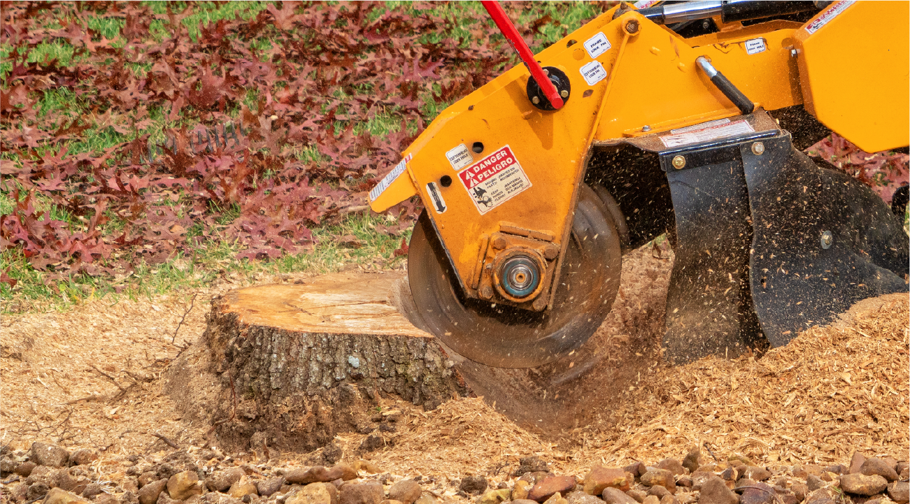 A stump grinder is cutting a tree stump into wood chips.