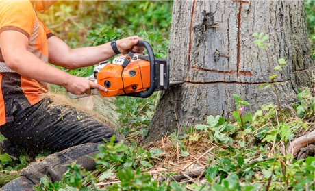 A man is cutting a tree stump with a chainsaw.