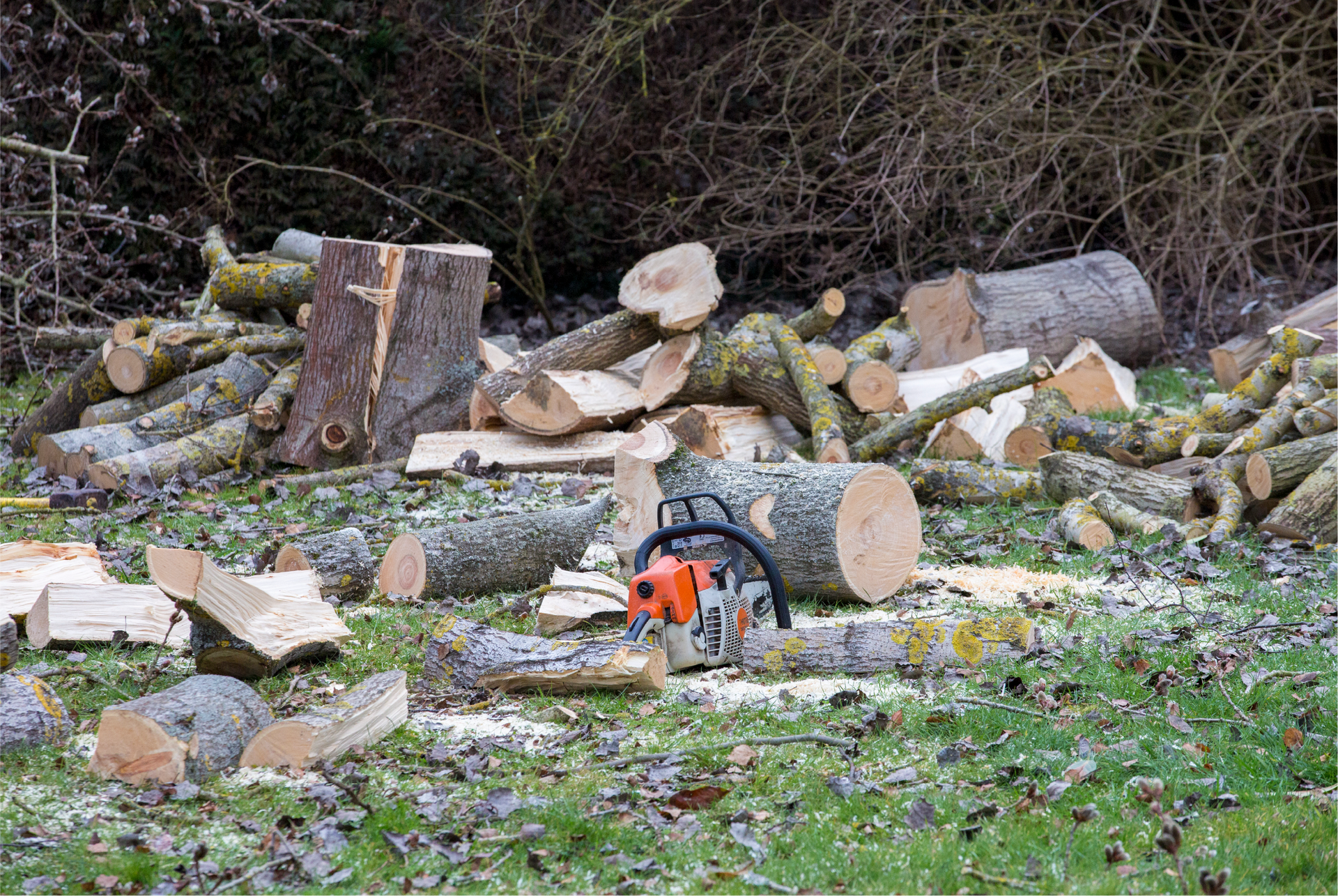 A chainsaw is sitting on top of a pile of logs.