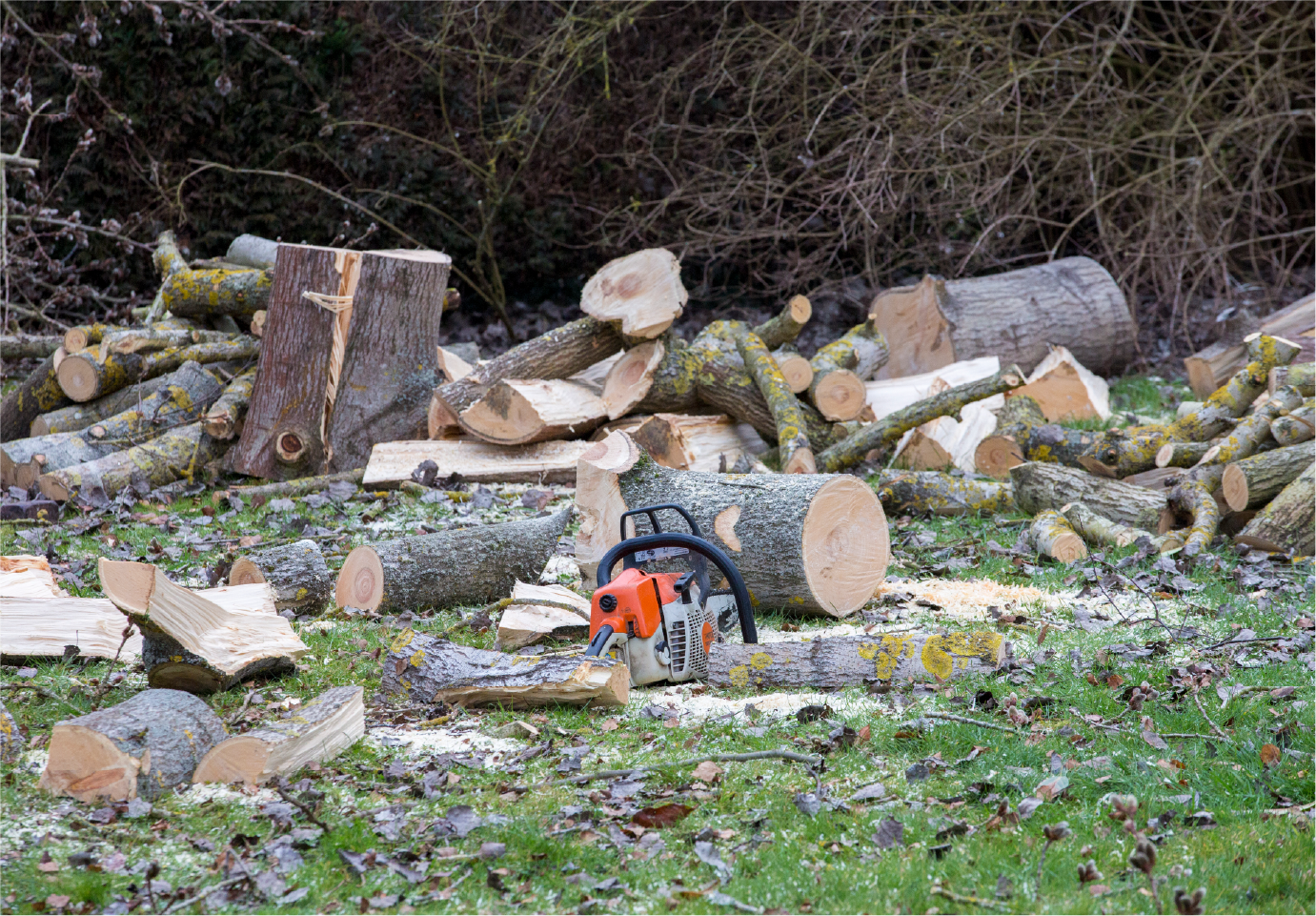 A chainsaw is sitting on top of a pile of logs.