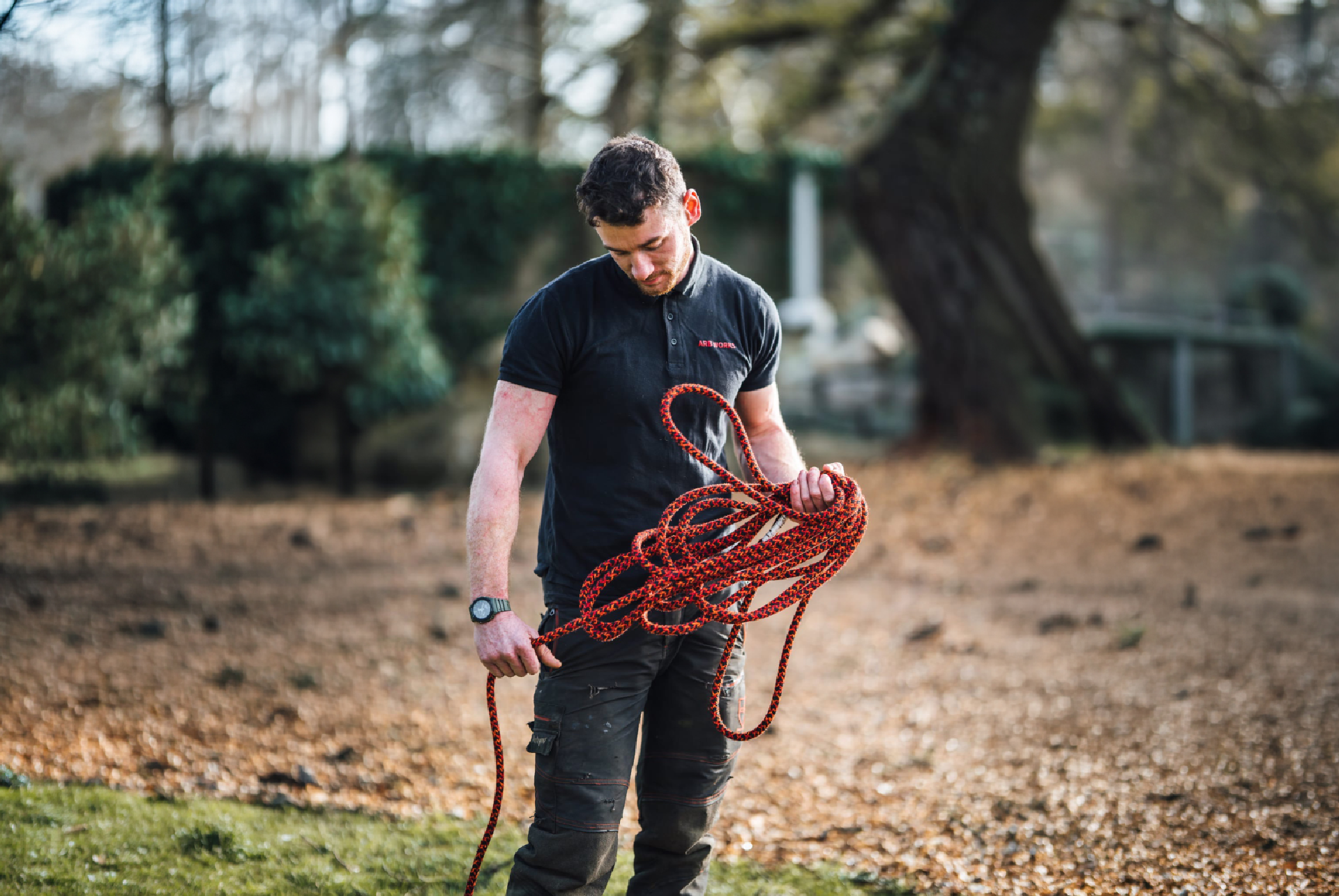 A man is climbing a tree with a chainsaw.
