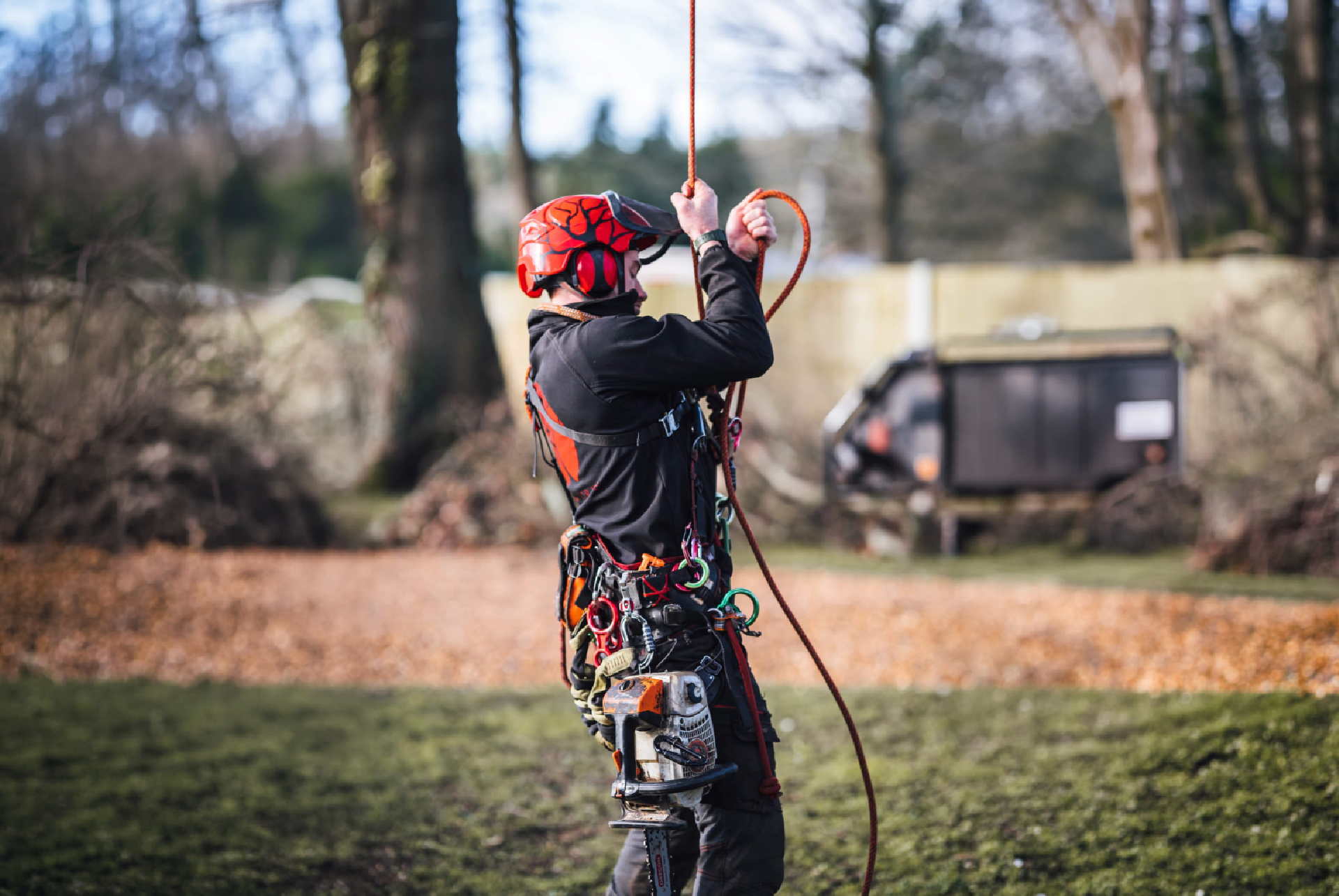 A man is climbing a tree with a chainsaw.