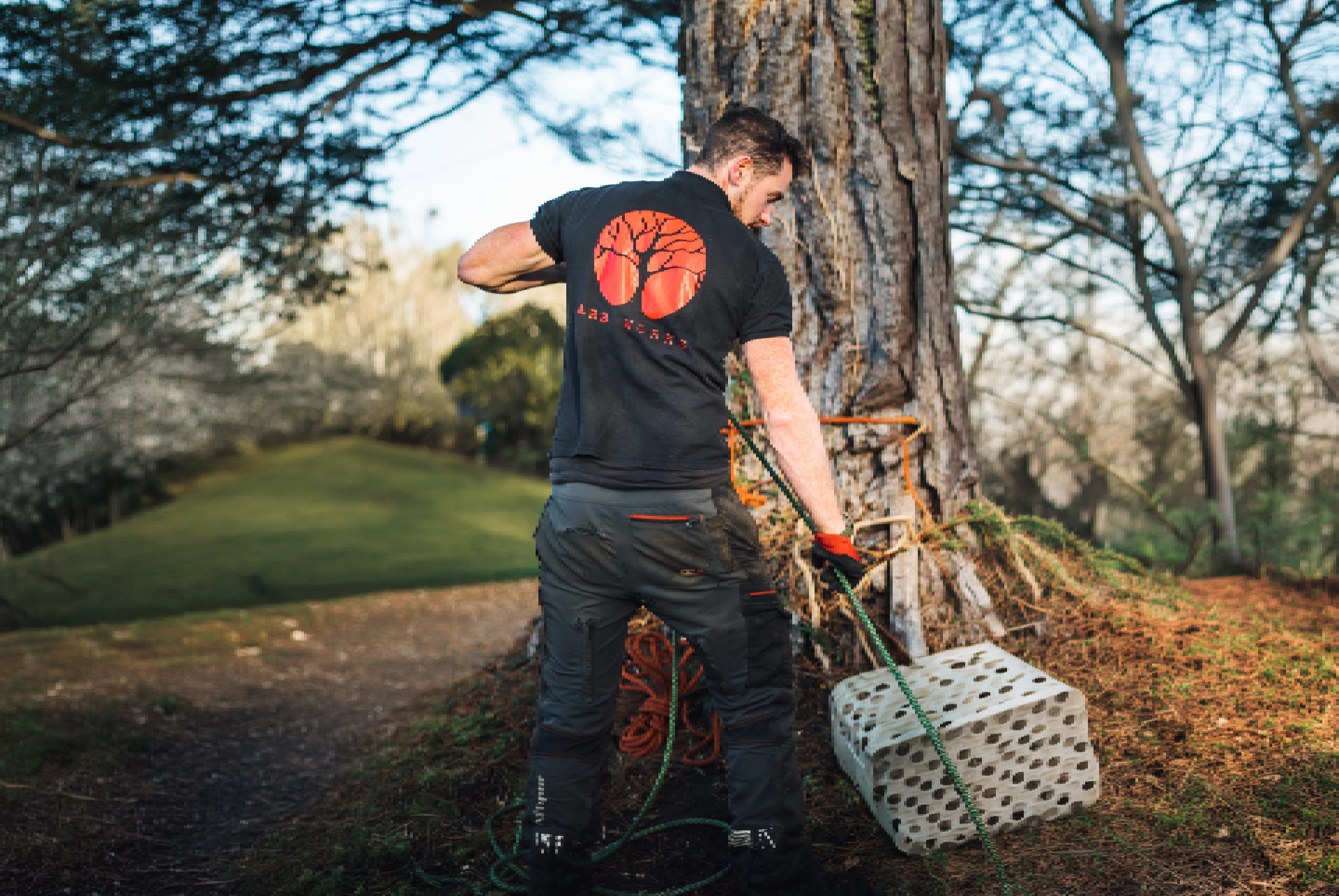 A man is cutting a tree with a chainsaw in the woods.