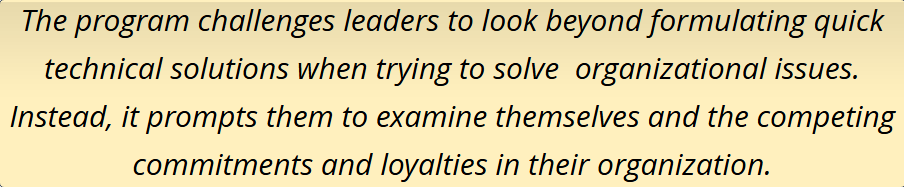 Text about a program challenging leaders to look beyond quick technical solutions.