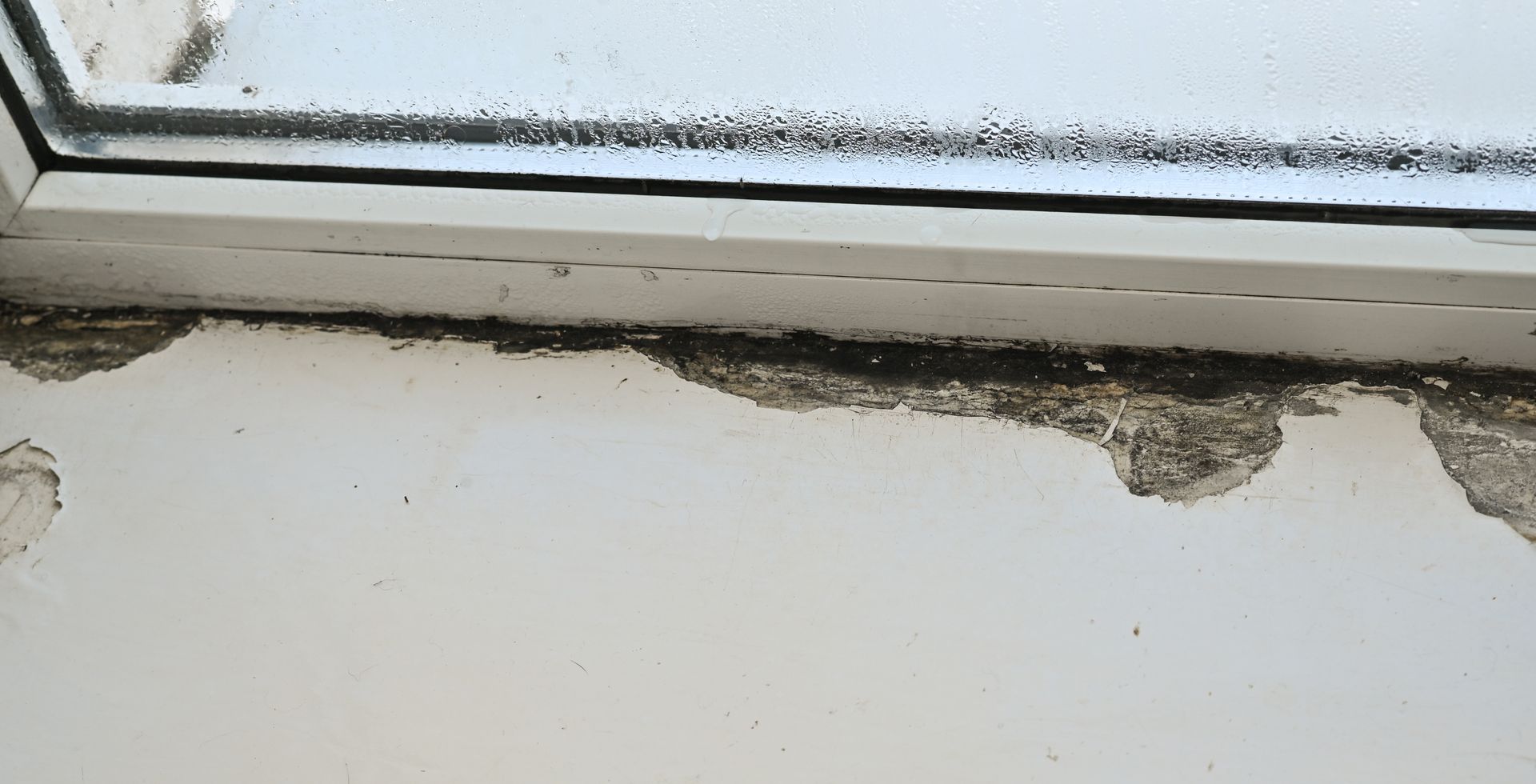 Mold and peeling paint on a white windowsill below a window with condensation.