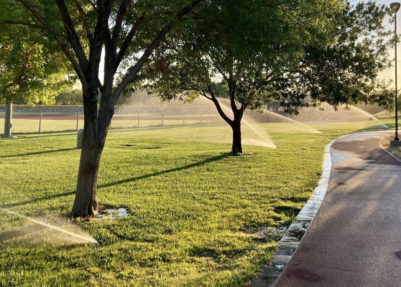 lawn with sprinklers going