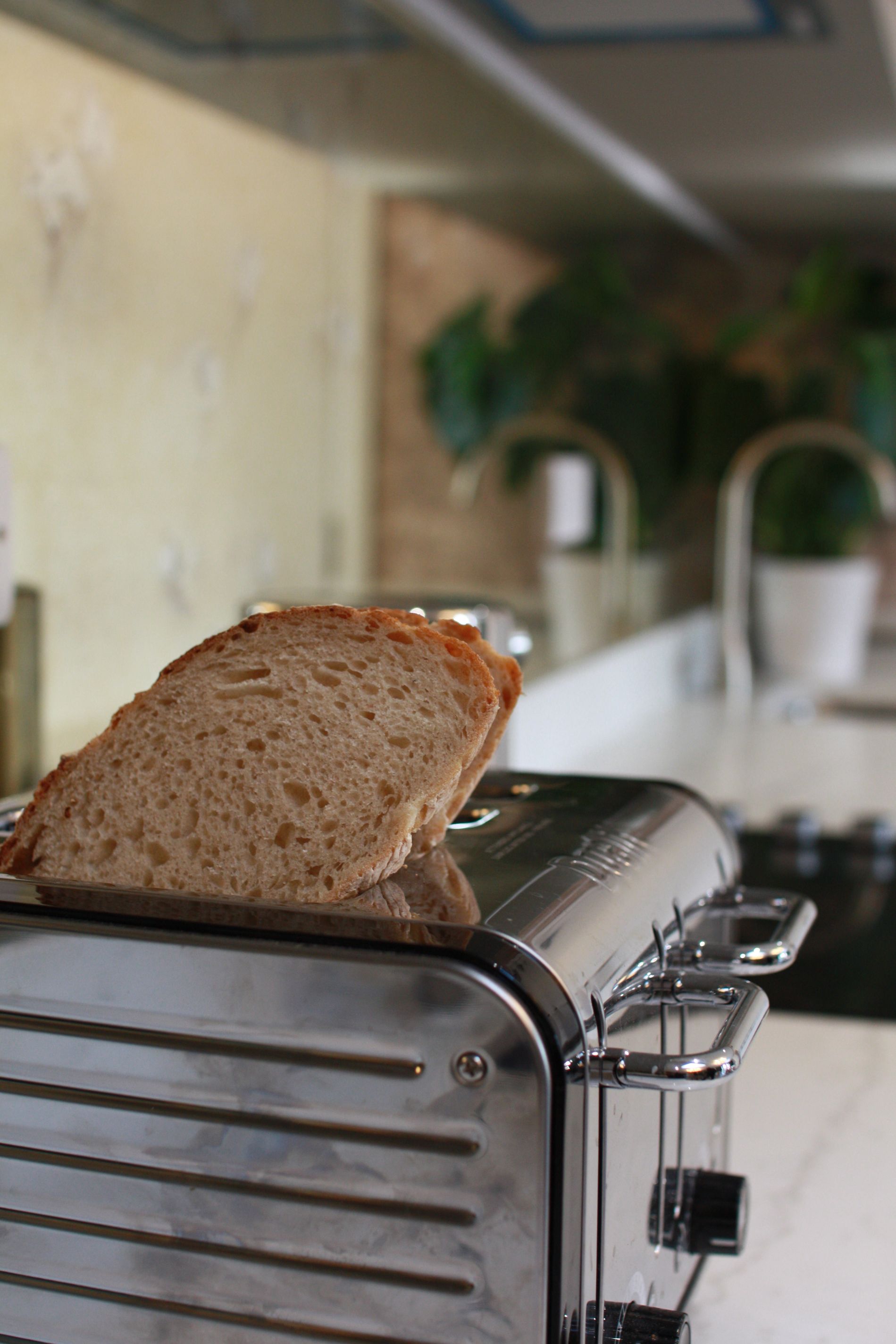 Slice of toasted bread in a silver toaster, kitchen background with countertop and plants.