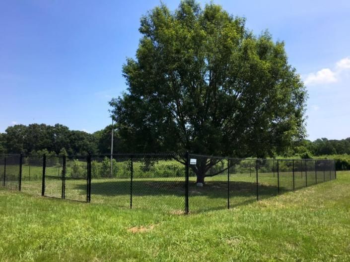 chain link fence
