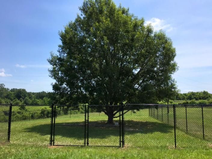 chain link fence