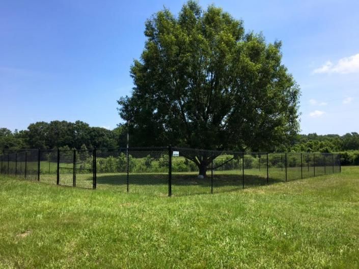 chain link fence
