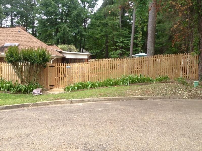 privacy fence with trees and shrubs in background
