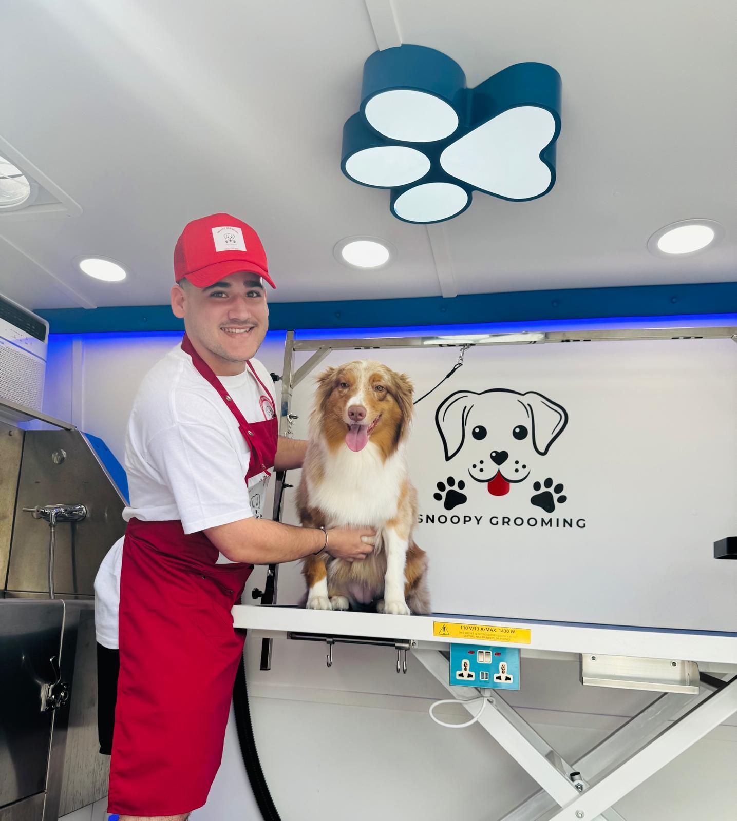 Groomer working with an Australian Shepherd on the table inside the Snoopy Grooming van