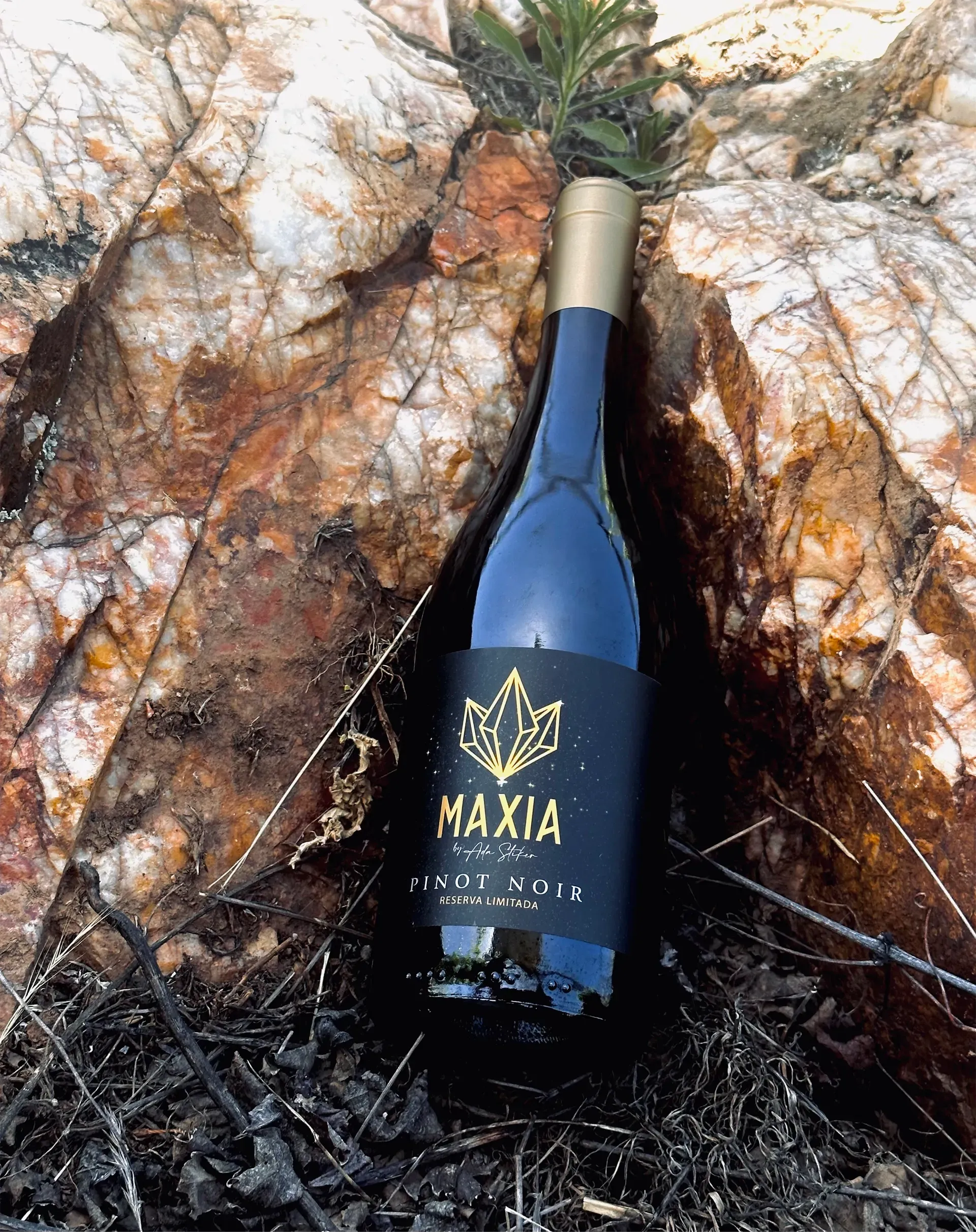 Botella de vino Maxia sobre una roca con manchas de óxido y blancas.