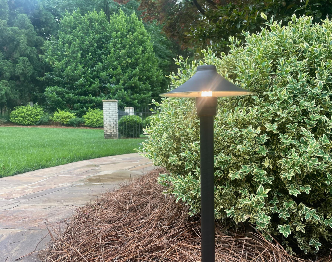 Black landscape light illuminates a yard with greenery, stone path, and pine straw.