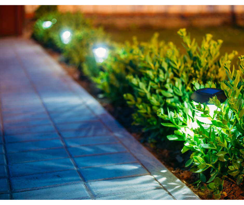 Pathway lined with illuminated solar lights and green bushes at night.