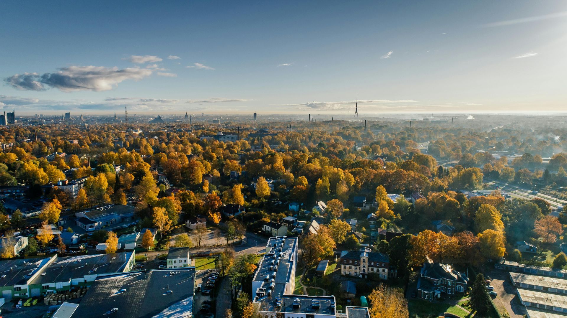 Aerial view of a city neighborhood with autumn-colored trees and a hazy skyline at sunrise