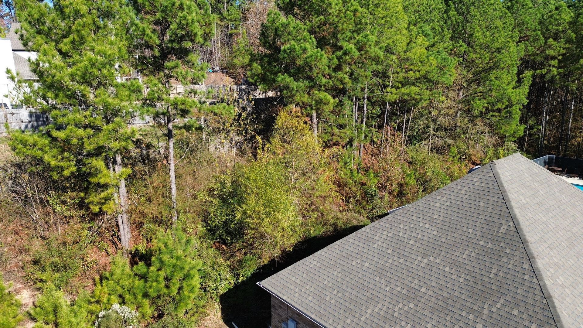 An aerial view of a gray shingled roof next to a dense wooded area with green and autumn-colored trees.