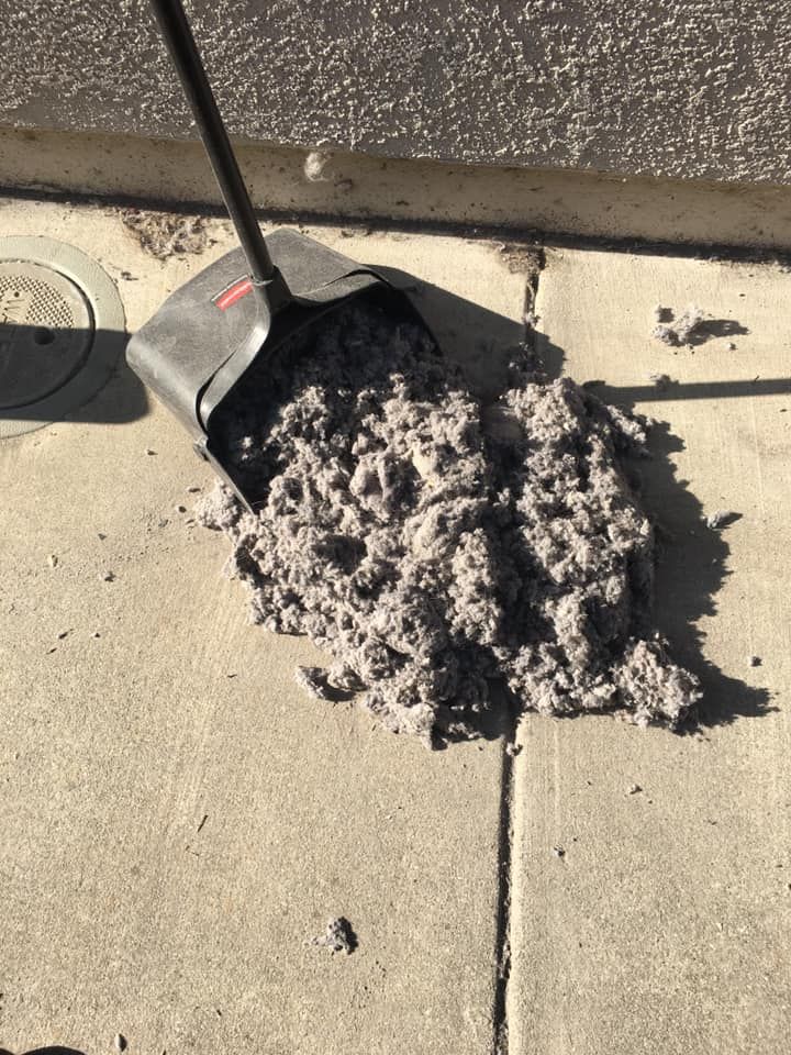 Snow piled on a concrete sidewalk beside a building, next to a snow shovel.