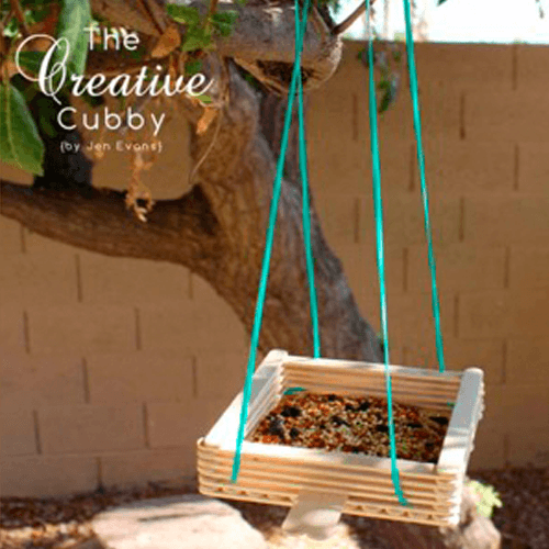 Bird feeder hanging in the backyard