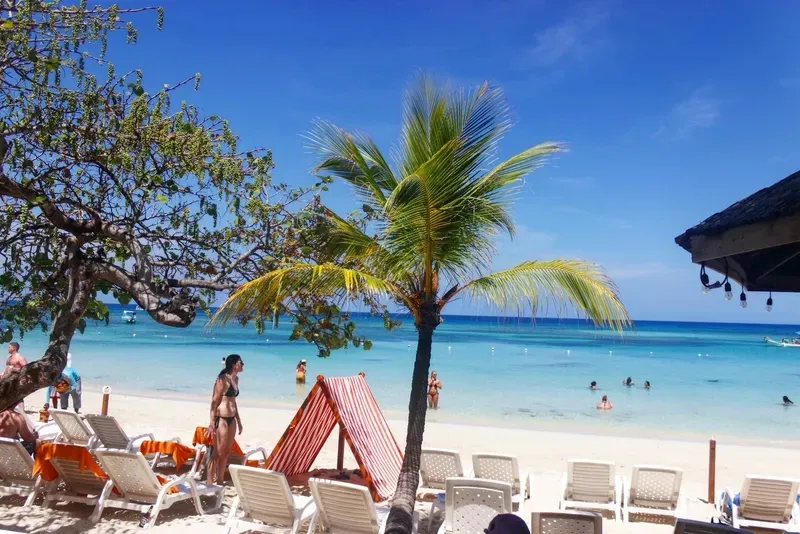 There are many chairs and umbrellas on the beach.
