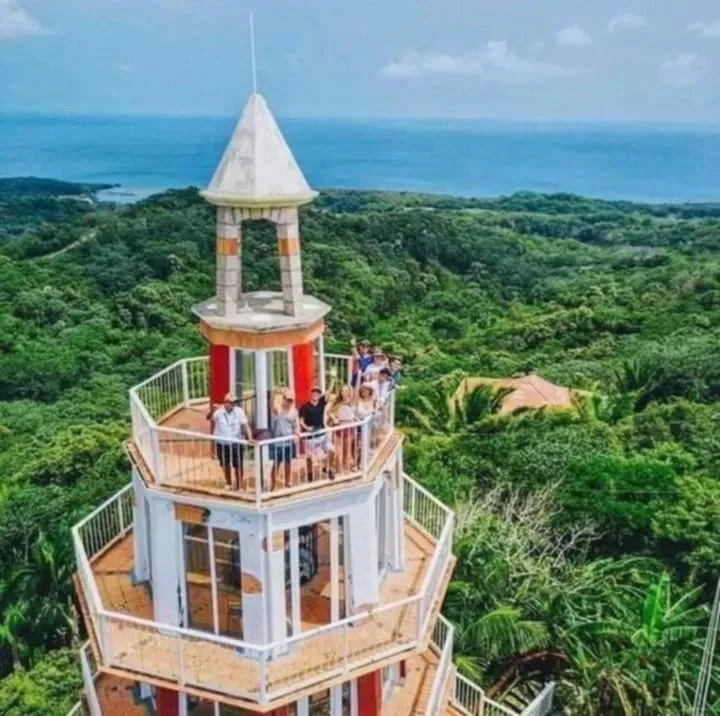 A group of people are standing on top of a tower overlooking a lush green forest.