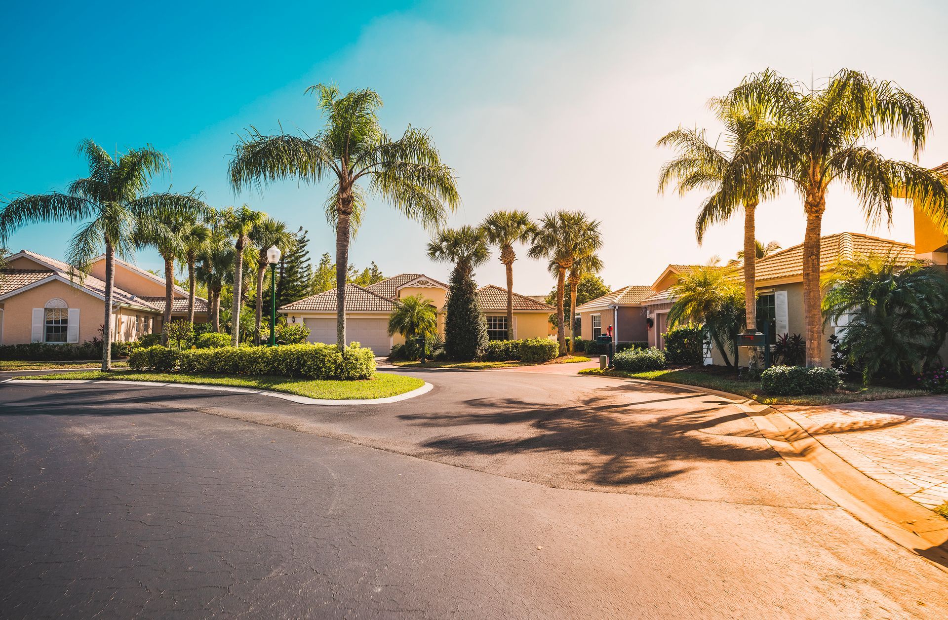 Una zona residencial con palmeras y casas en un día soleado.