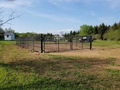 A garden enclosed by a black fence with a small shed to the left, and trees in the background.