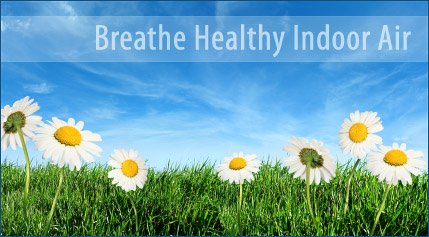 A field of daisies with the words breathe healthy indoor air above them