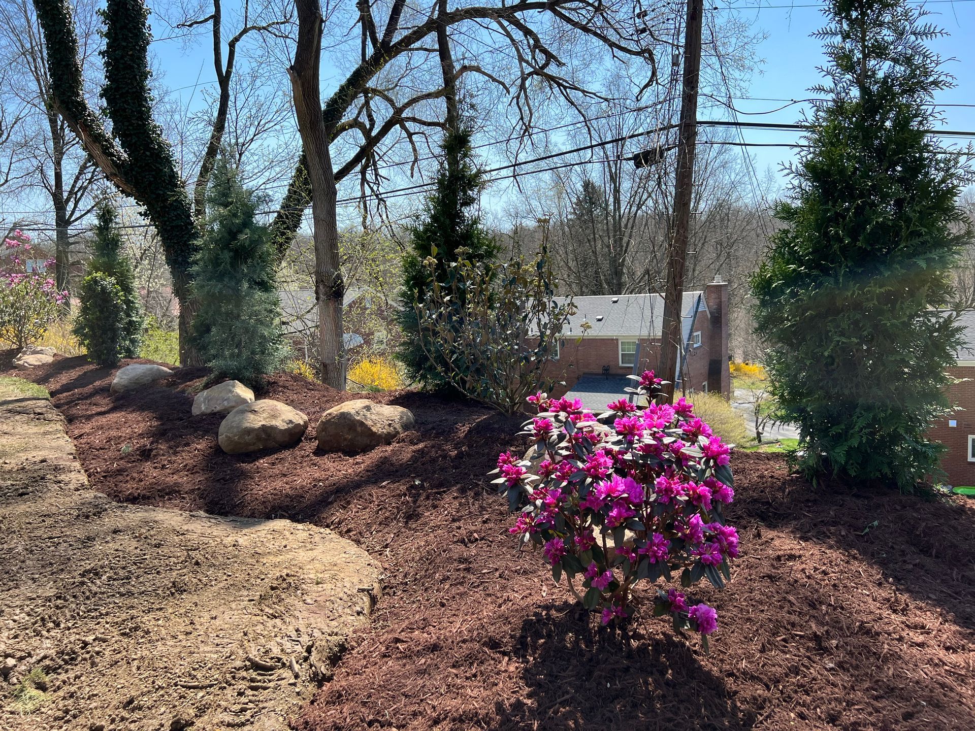 garden beds with flowers and bushes that is nicely edged